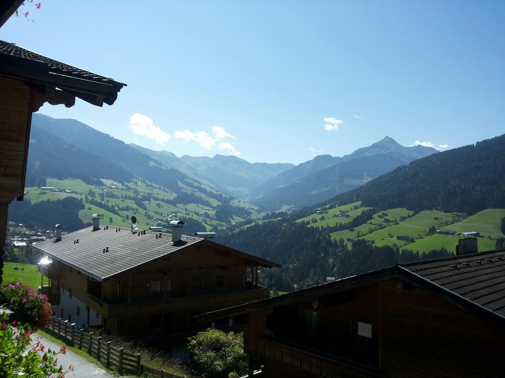 Alpbach 646 Daire Oda fotoğraf