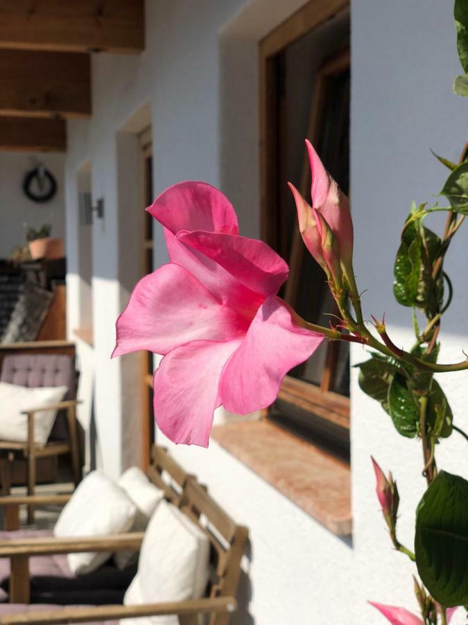 Alpbach 646 Daire Dış mekan fotoğraf
