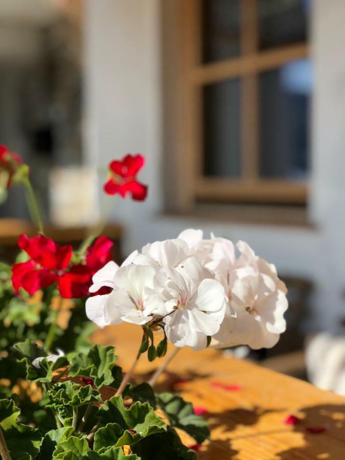 Alpbach 646 Daire Dış mekan fotoğraf